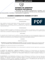 Acuerdo gubernativo MARN 317-2019