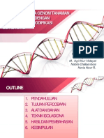 Isolasi DNA - Mega