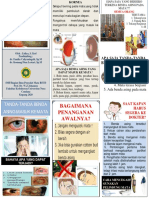 Leaflet Corpal Cornea