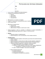 Patologia Renal PDF