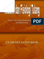 Anfis Extr - Bawah PDF