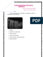 Anatomia Radiografica Dento Maxilo Mandibular Aula 5