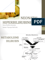 NEONATAL HIPERBILIRUBINEMIA