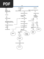 COPD PATHOPHYSIOLOGY Diagram | PDF | Lung | Clinical Medicine