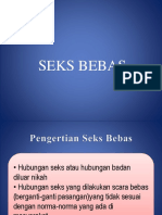 Seks Bebas