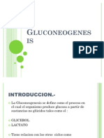 Gluconeogenesis 2.0