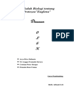 Makalah Biologi Tentang Protozoa