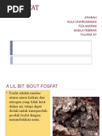 Download FOSFAT by Yuliana Sy SN45021848 doc pdf