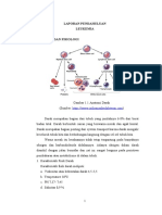 LP LEUKIMIA