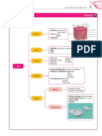 Ud 04 Esquema PDF