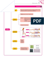 Ud 06 Esquema PDF