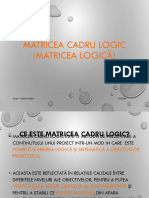 2 Definirea Proiectului Matricea Logica