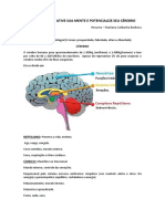 Conferência Ative Sua Mente e Potencialize Seu Cérebro