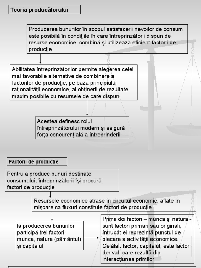 Teoria Producatorului | PDF