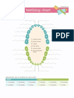 Teething chart timeline