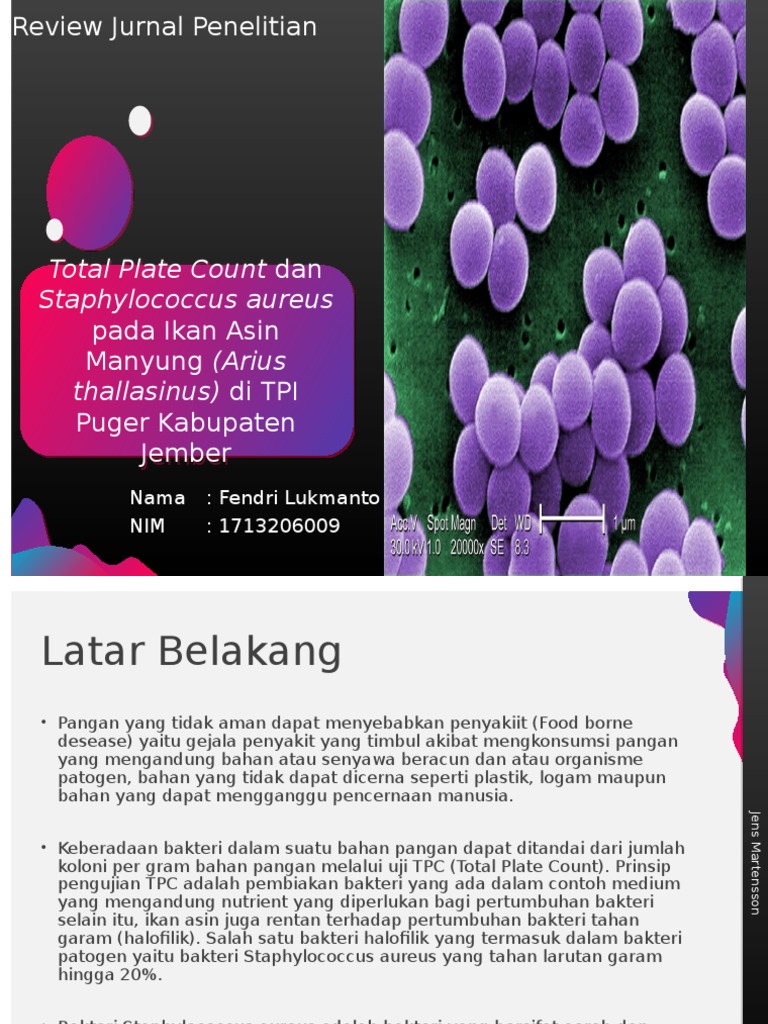 Review Jurnal Penelitian Pdf