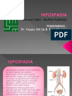 PPT Hipospadia