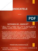 Sindicatele