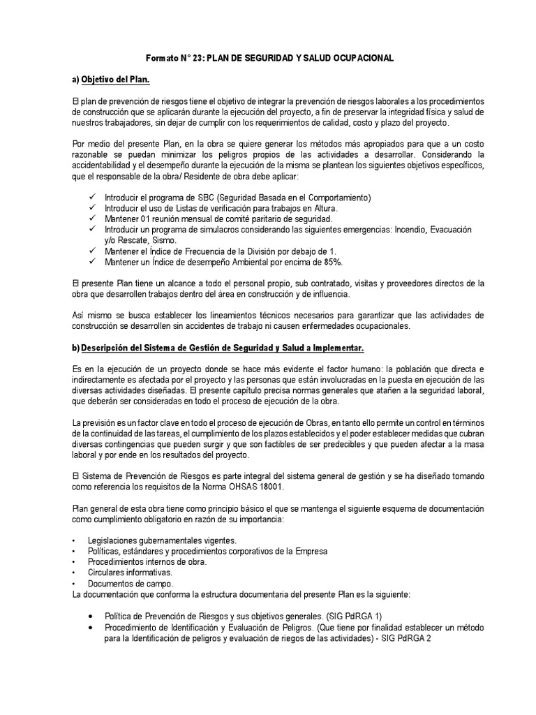 Plan de Seguridad y Salud Ocupacional | PDF