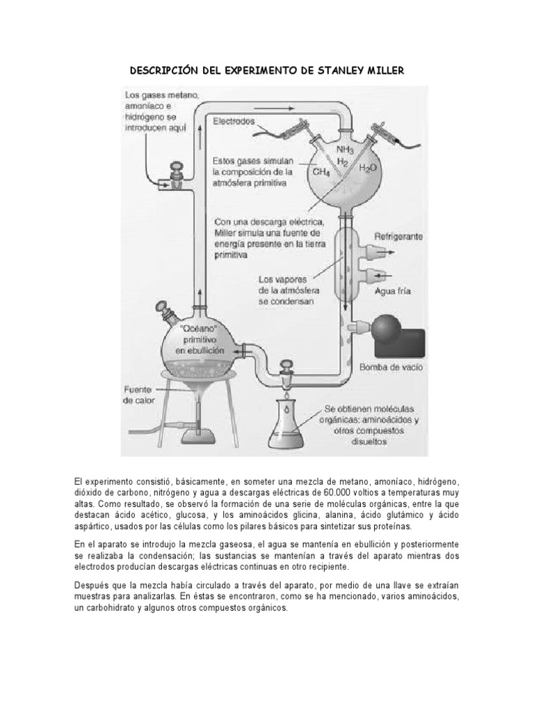 Descripción Del Experimento de Stanley Miller | PDF