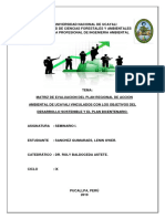 Lenin Sanchez Guimaraes - Plan de Accion Ambiental Ucayali