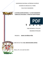 tesis estimulacion.pdf