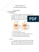 Laporan Pendahuluan CKD