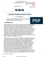 Grape Production in India