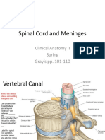 2020 Lecture 4 Spinal Cord and Meninges