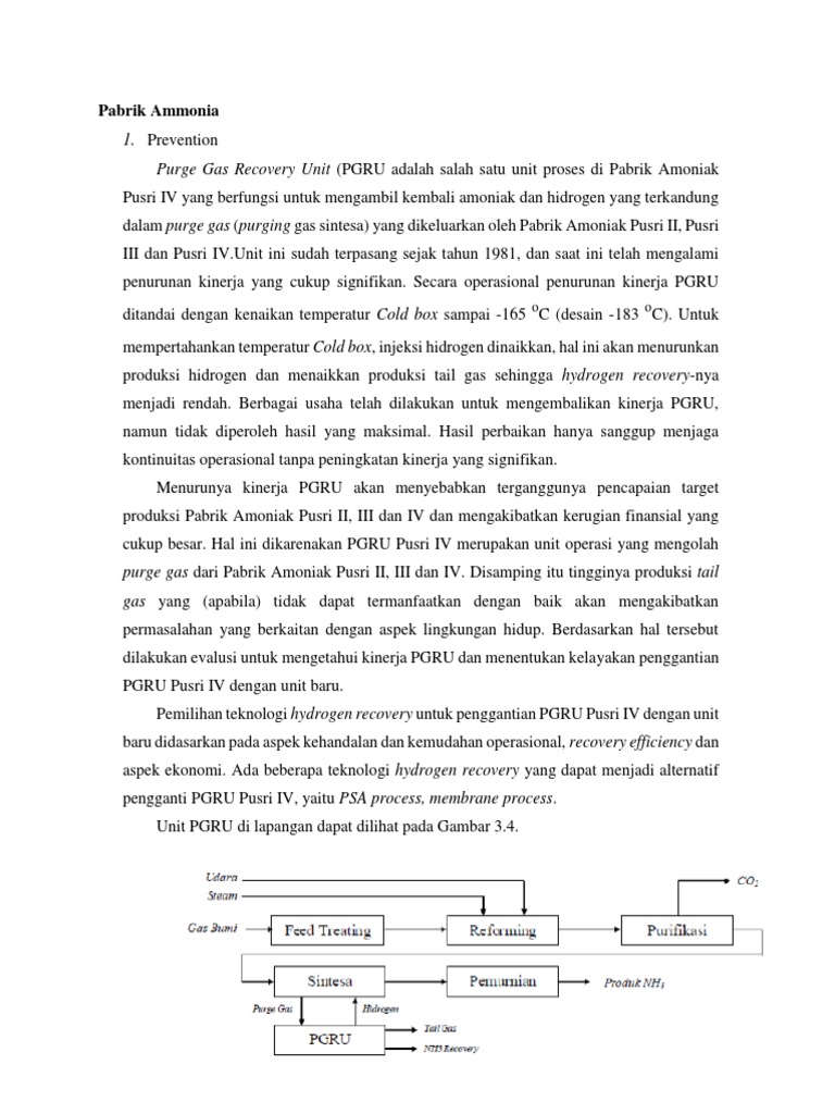 Evaluasi Kinerja PGRU Pabrik Amoniak | PDF