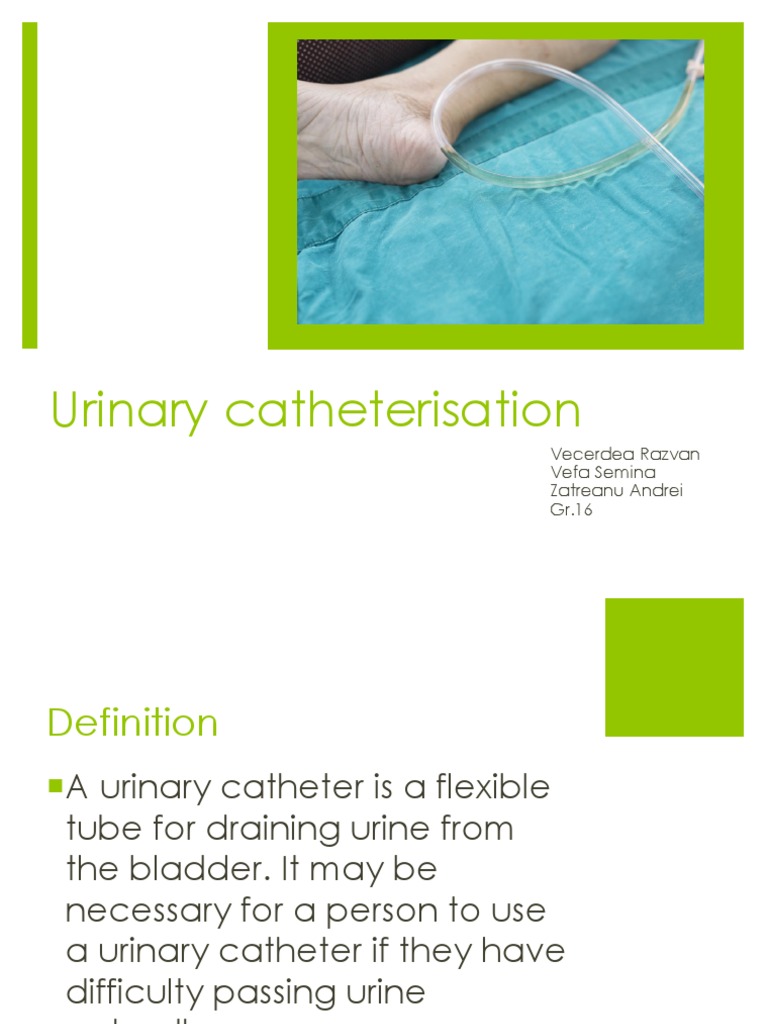 Understanding Urinary Catheterization | PDF | Urinary Incontinence ...