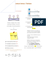 Escoamento Laminar, Tubular e Perda de Carga PDF