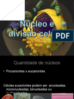 Aula Nucleo e Divisão