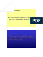 7_Metabolismo_xenobioticos.pdf