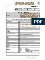 02) RESUMEN EJECUTIVO Final