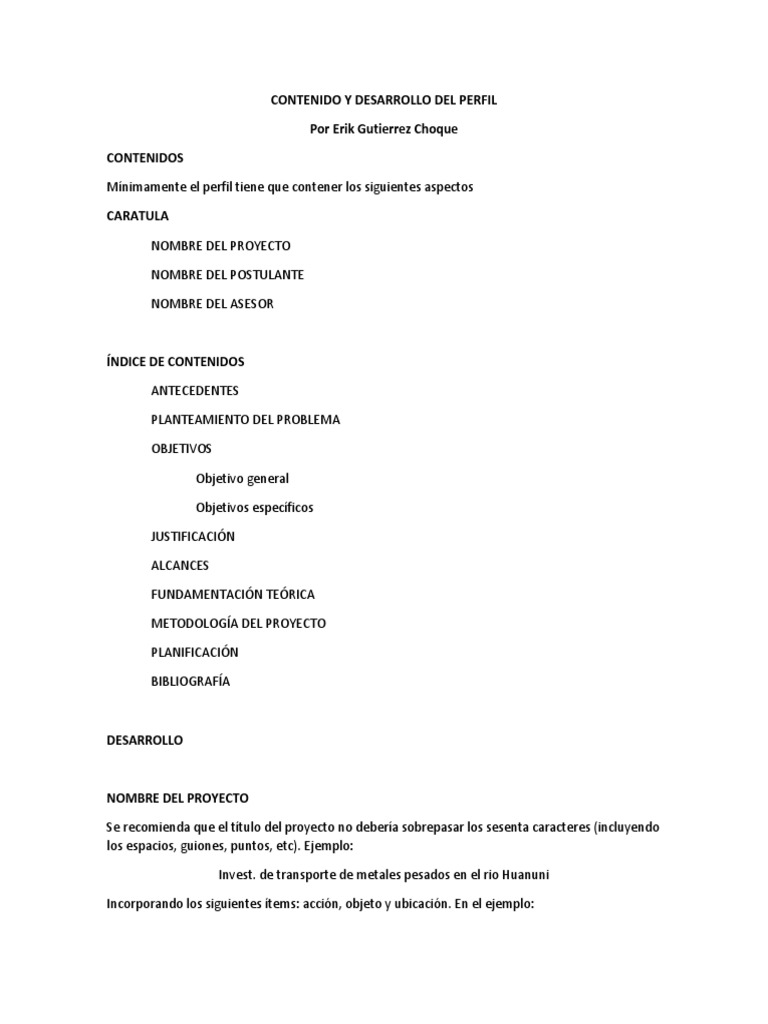 Guía Completa para Desarrollar un Perfil de Proyecto | PDF | Negocios ...