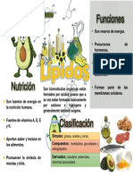 Infografia Bqq.docx