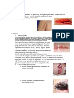 Nursingul-Plagilor (2).pdf
