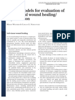 In Vitro Models For Evaluation of Periodontal Wound Healing - Regeneration