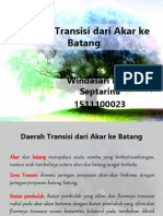 Daerah Transisi Dari Akar Ke Batang