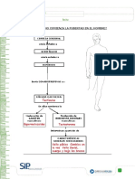 como comienza la pubertad en el hombre.docx