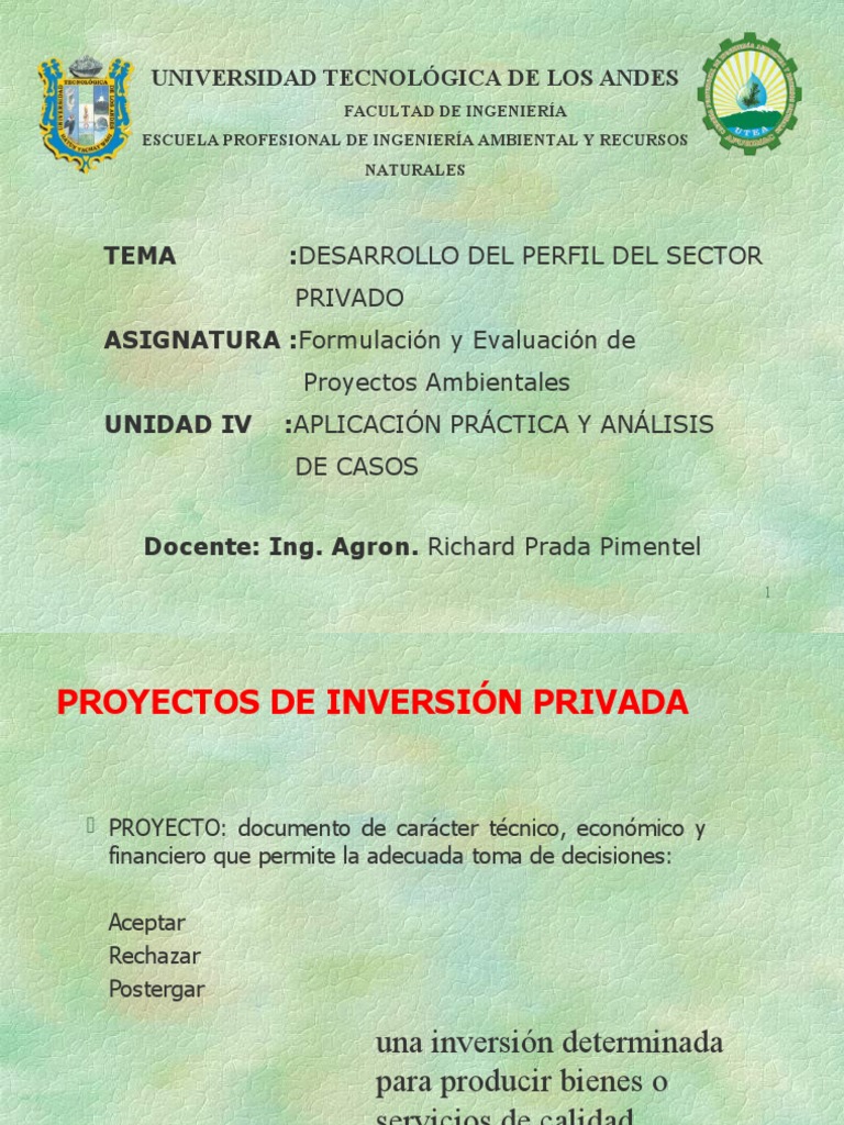 Proyectos de Inversión Privada | PDF | Negocios