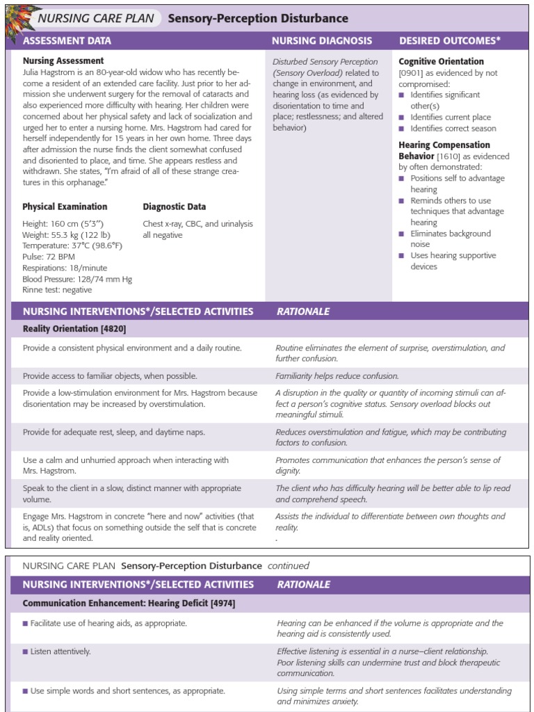 NURSING CARE PLAN SensoryPerception Disturbance PDF Hearing Loss