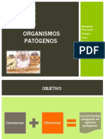 4to COMUN Organismos patógenos