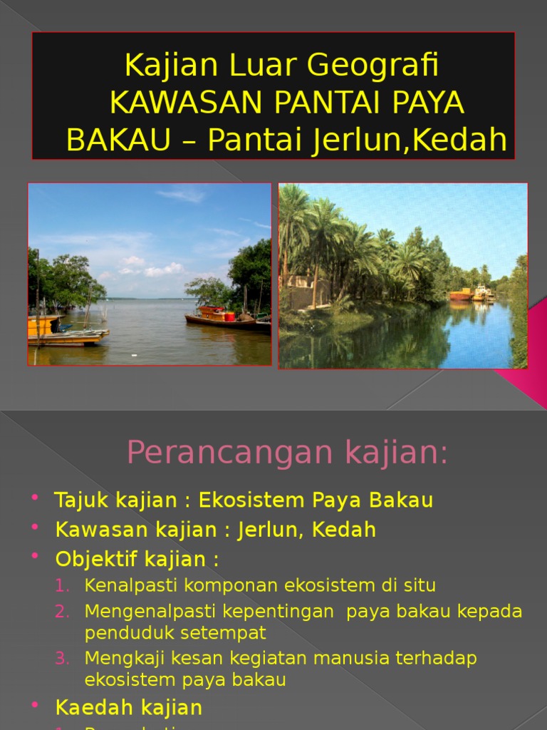 3 Kajian Pantai Paya Bakau Pdf