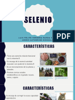Selenio Causas Final