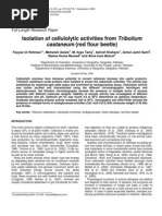 Download  Isolation of cellulolytic activities from Tribolium by biochemi SN45038670 doc pdf