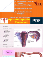 Aparatoreproductorfemenino 170405055425