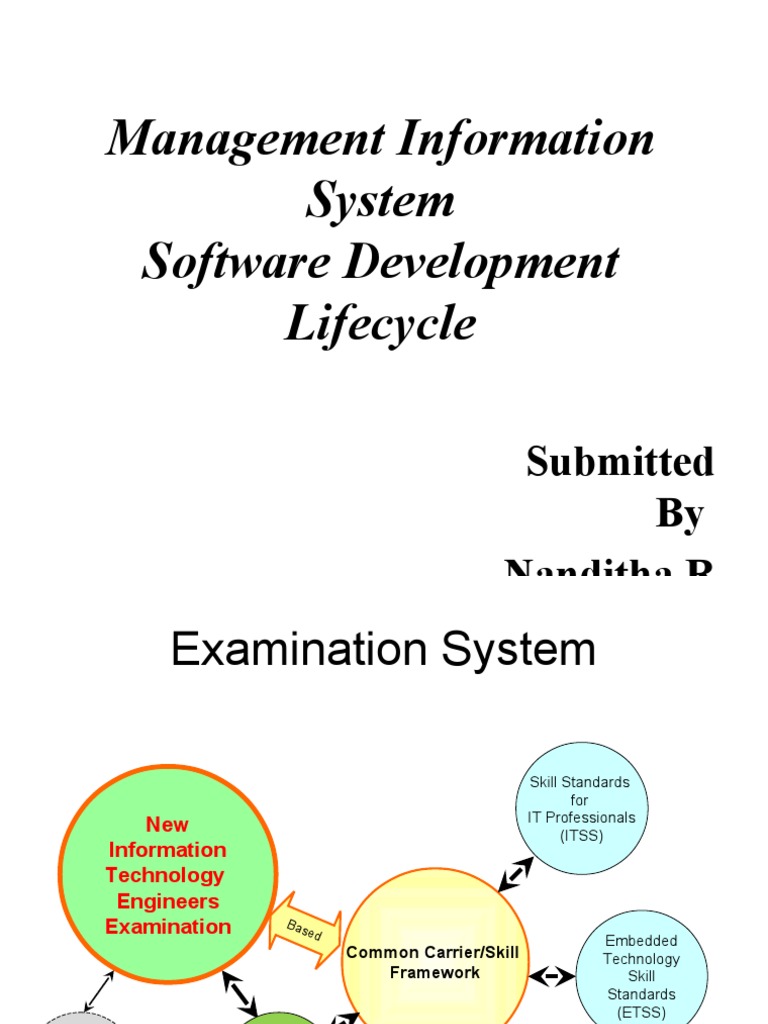 Management Information System | PDF | System | Computer Science