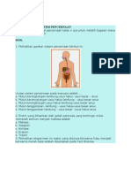 Latihan Soal System Pencernaan